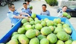 高州网红吃瓜群微信,揭秘网络红人的幕后生活