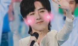 爆料刘宇宁狗仔事件视频,揭秘明星隐私泄露背后的真相