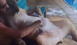 六六狮被爆料的视频,揭秘娱乐圈惊人内幕