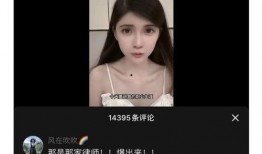 某网红被爆料视频,揭秘背后惊人真相